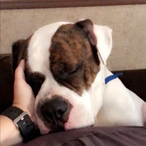 Meet your Posher, Ashley